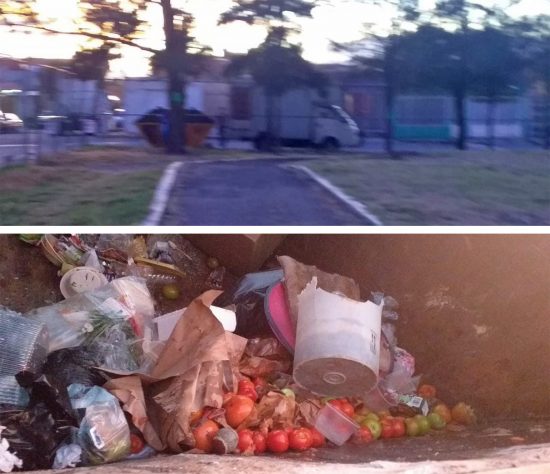 Pura verdura podrida dejan en el lugar.