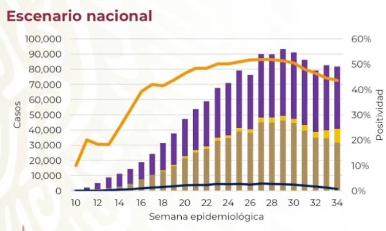 575 mexicanos murieron en las últimas 24 horas a causa de coronavirus