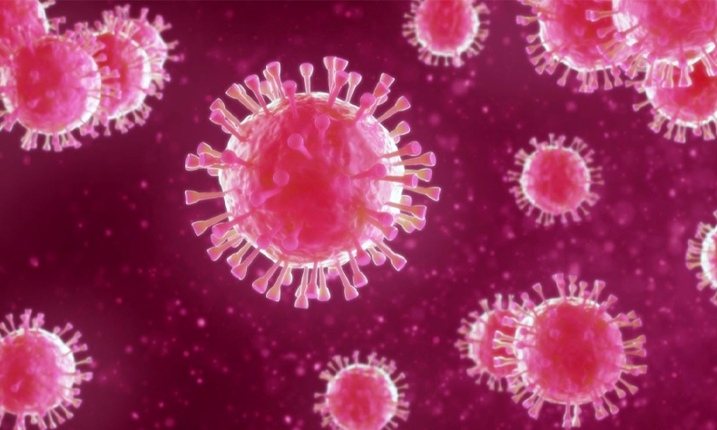 coronavirus 44