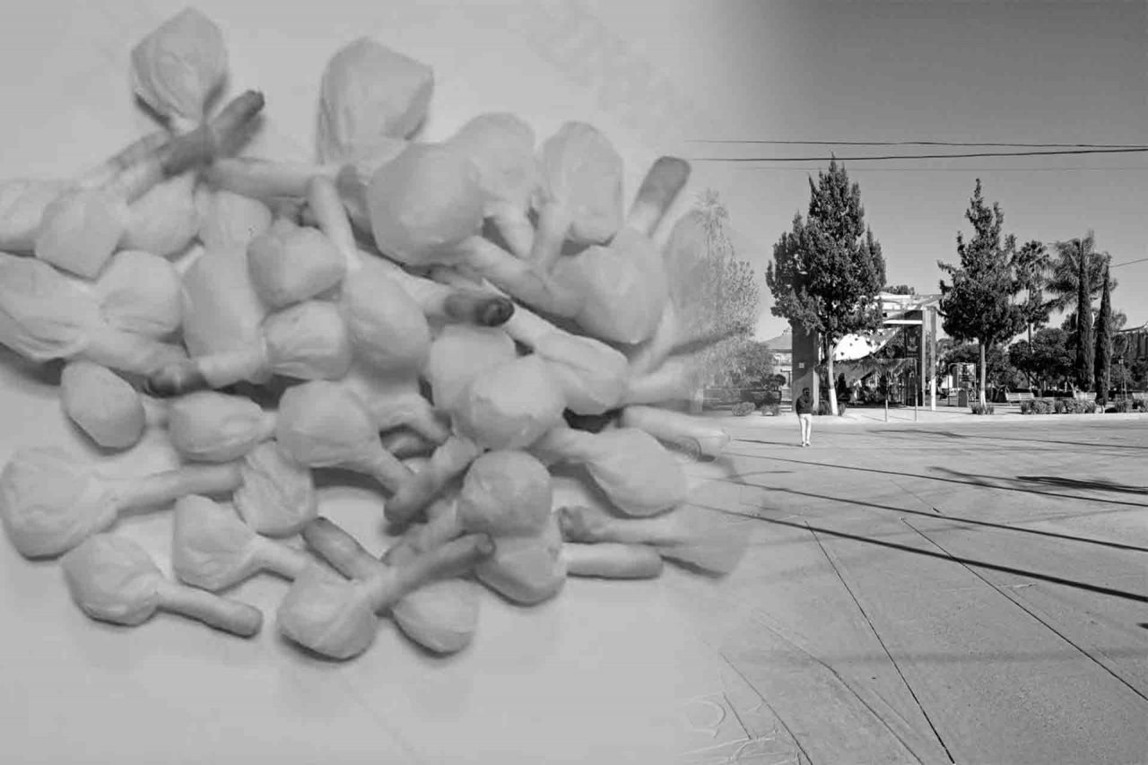 Pabellón de Arteaga, Problemática, Narcomenudeo.