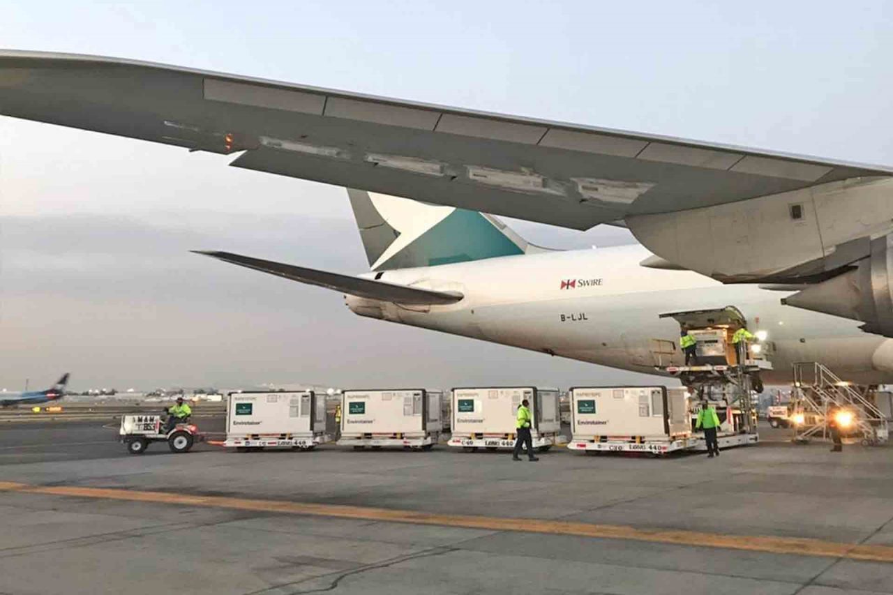 Llega nuevo embarque de vacunas Sinovac a México.