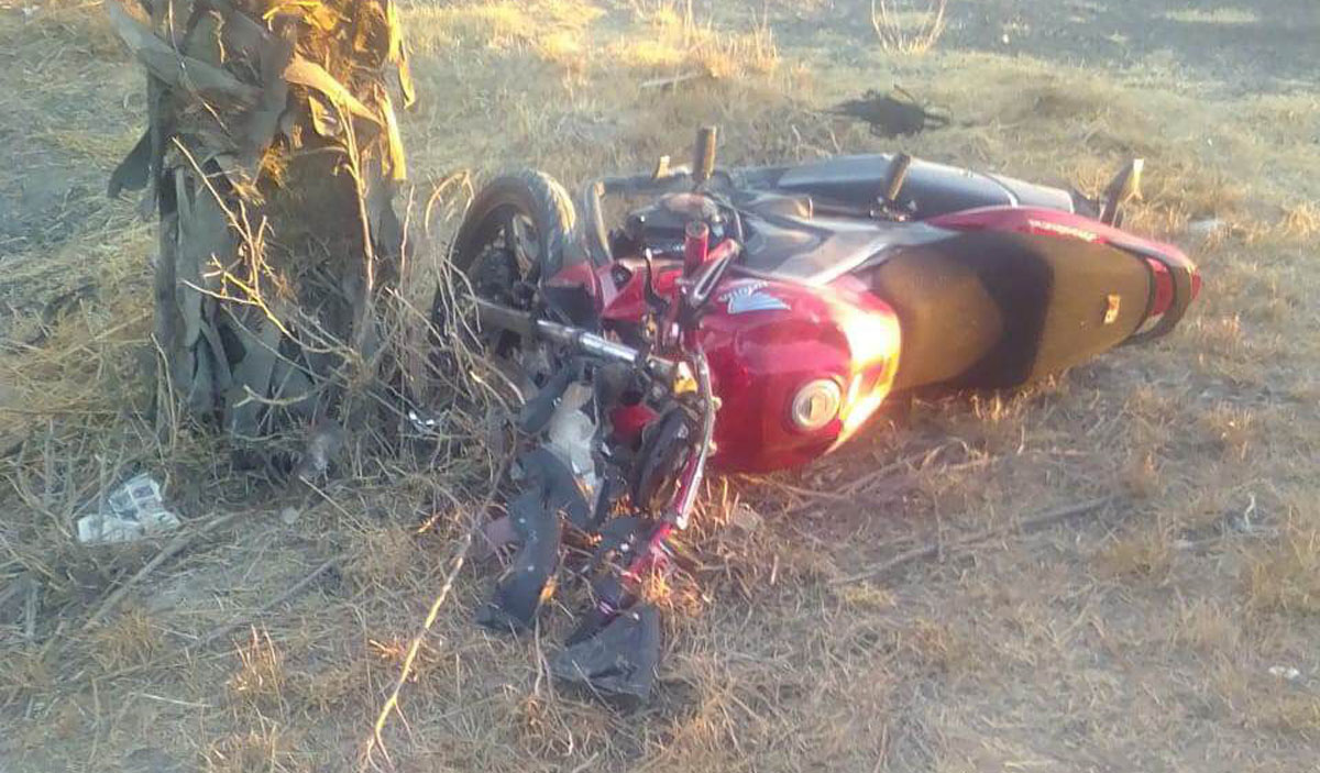 Joven motociclista se mató tras estrellarse contra una palmera El Aguas