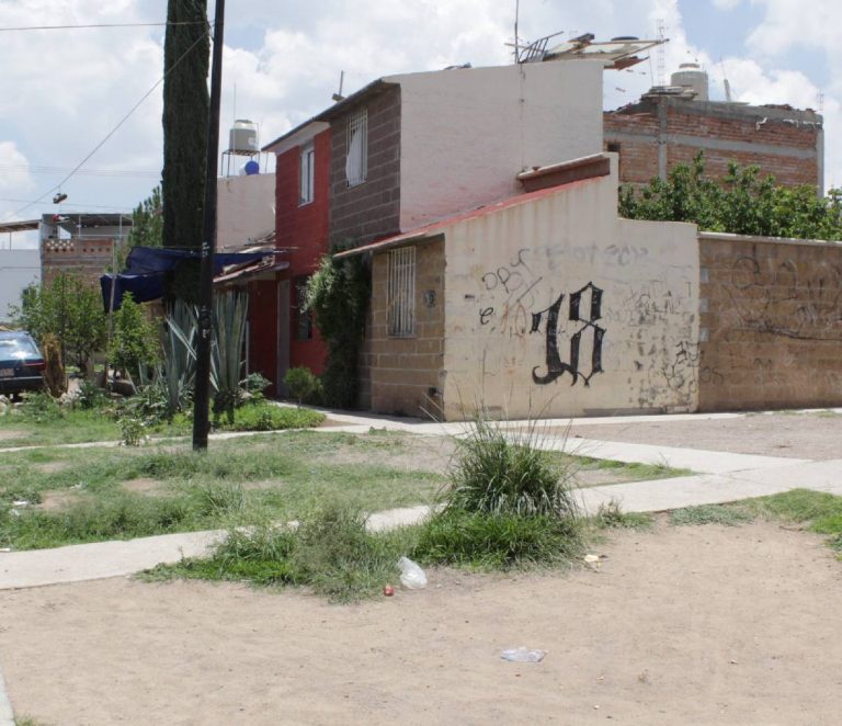 Cada ocho días se ponen bien intensos en Los Cactus