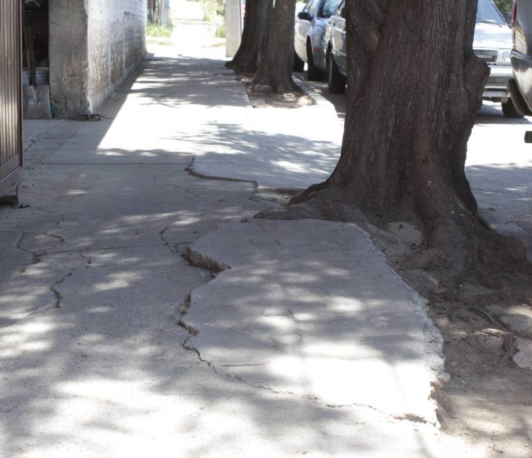 Intransitables las calles en el Bonagens