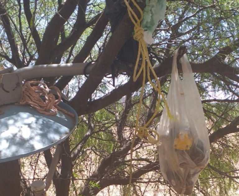 Frustran suicidio en Tepezalá