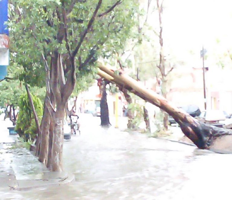 Seguirán las lluvias y los riesgos