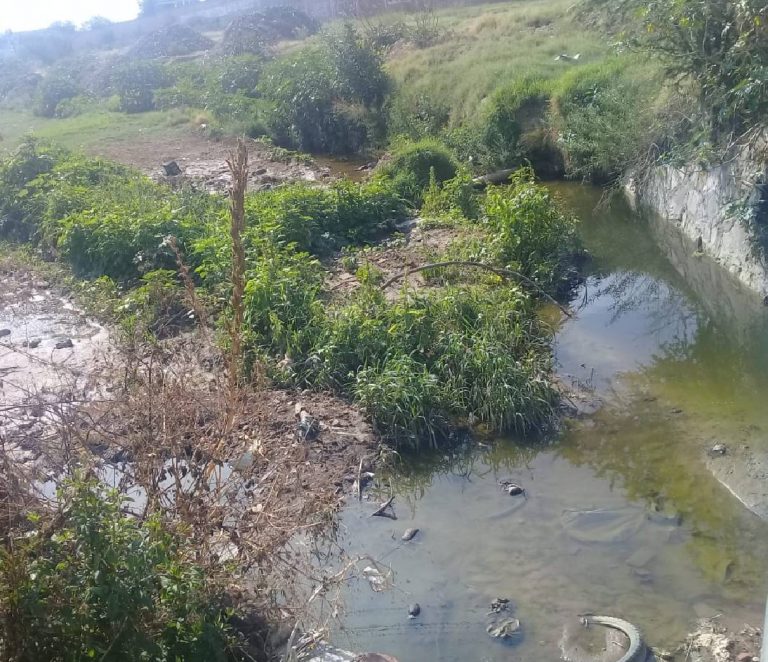 ‘Aguas que le pica el zancudito loco’