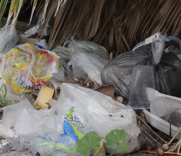 Celebran el día libre de bolsas de plástico