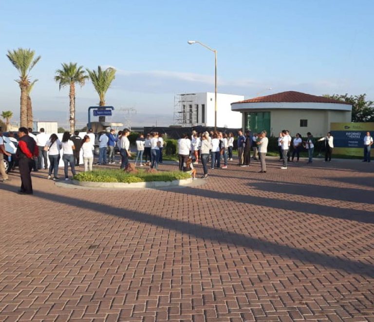 Ratas también pegan en zonas fifís