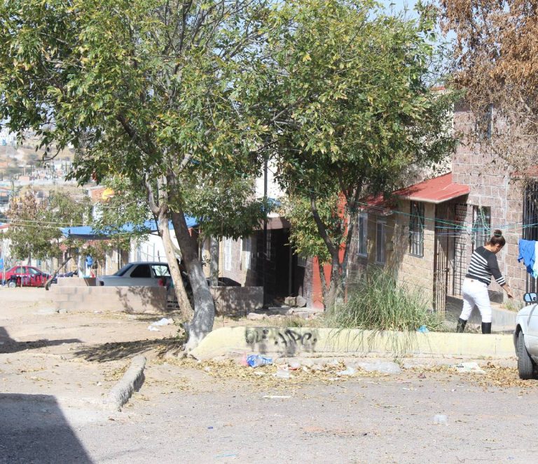 Viven todos apilados en Valle de los Cactus