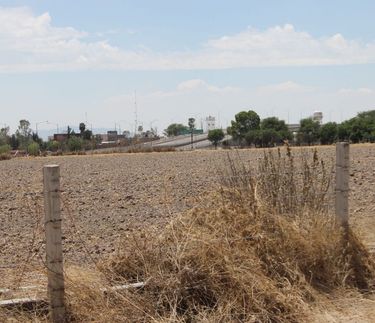 Este año ha llovido repoquito en Aguas