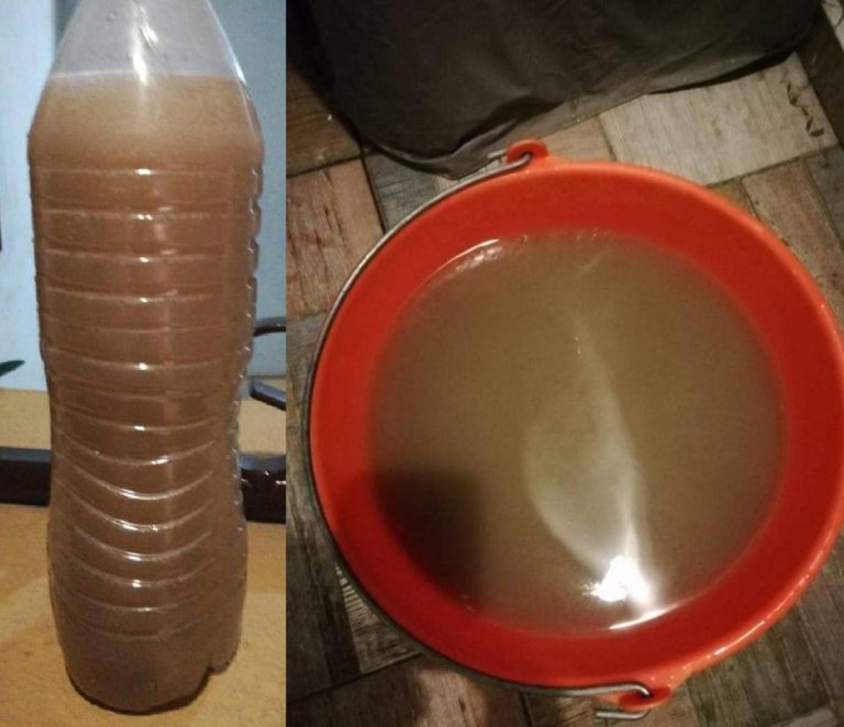 Les llega ‘agua de tamarindo’ en Misión de Santa Lucía