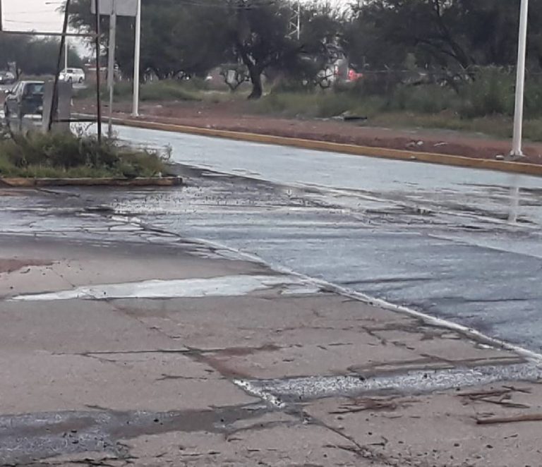 Les brota agua puerca en el Palomino