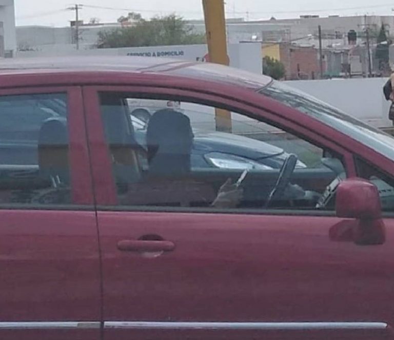 Les vale ir al volante y al celular