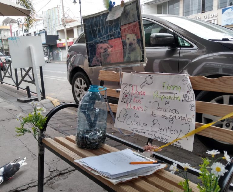 Todavía no se hace lo de la estatua
