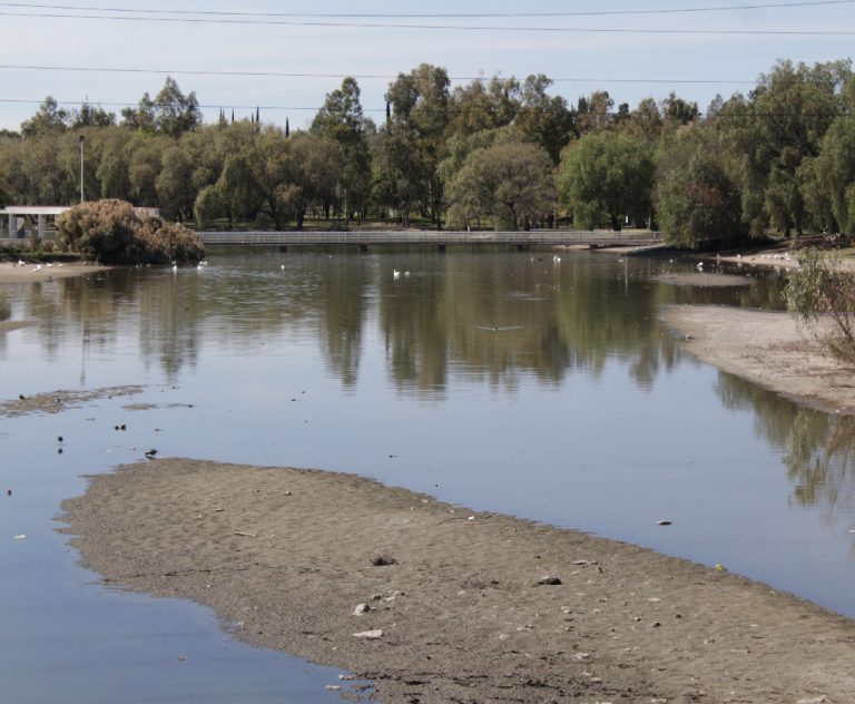 Les dan en su máuser a los árboles del Cedazo