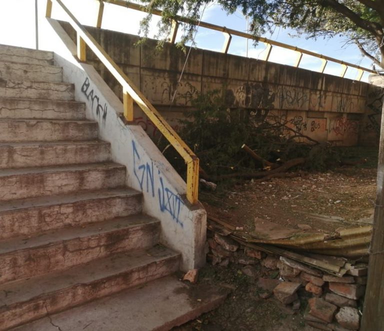 ¡Les urge más iluminación en el Encino! Chupan en un lugar bien oscurito