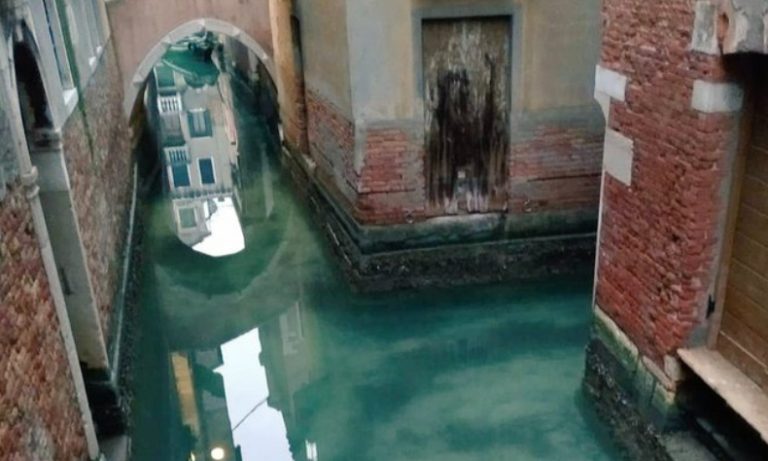 ¡No todo son malas noticias! En Venecia el agua volvió a ser azul
