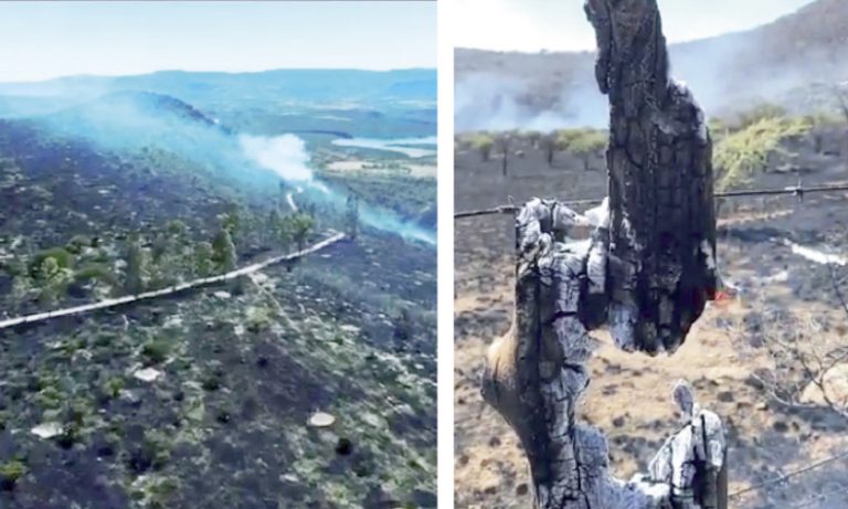 Incendio en la Sierra Fría podría llegar a Aguascalientes