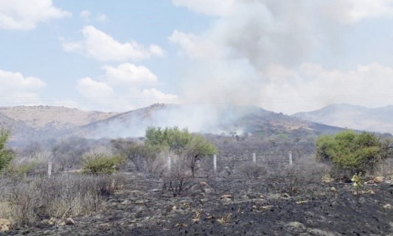 Incendio en el Cerro del Muerto se encuentra casi controlado