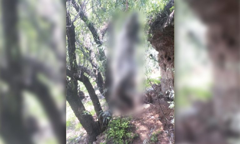 Encuentran otro perro colgado en Rincón de Romos