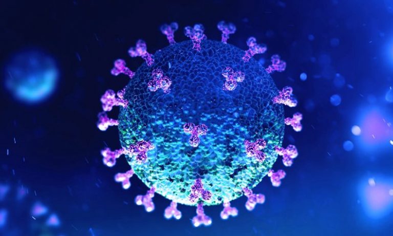 Ya son más de 2 mil muertos a causa del coronavirus según el ISSEA