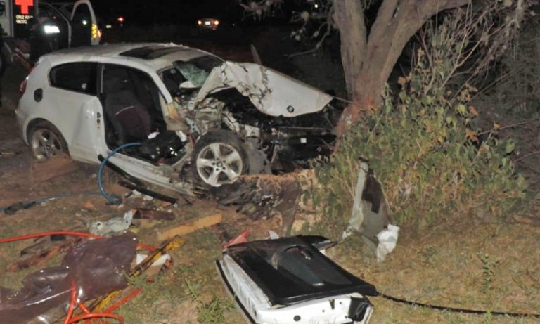 Morros chocan contra un árbol y quedan prensados