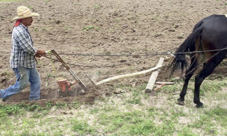 Abren los apoyos de Bienestar pa’ la raza del campo