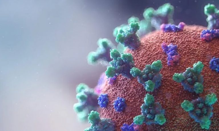 Repuntan las muertes y los contagios por culpa del coronavirus