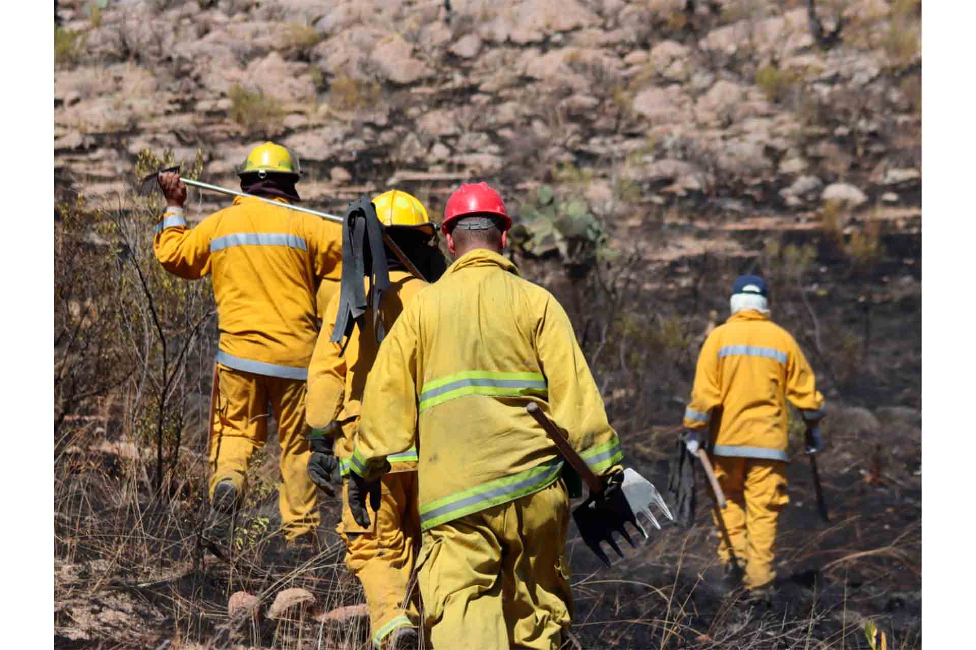 Este 2021 Dobleteamos Las Hectáreas Dañadas Por Incendios Forestales ¡el Aguas 5063