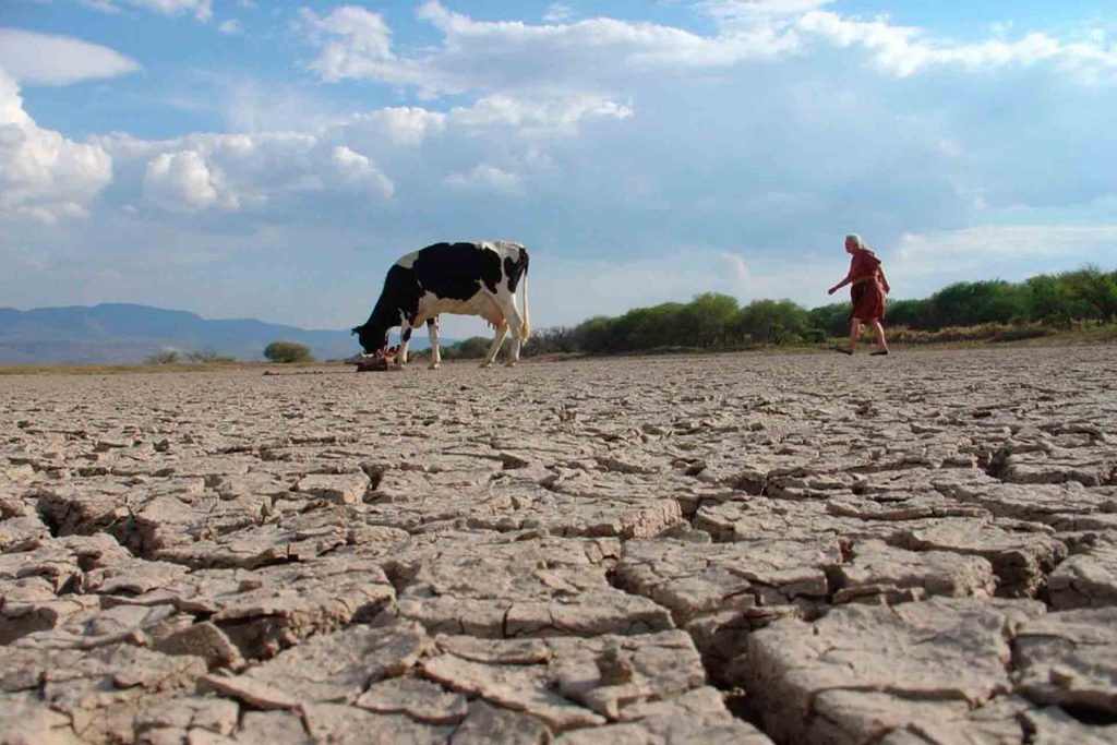Urgen proyectos hídricos para combatir las sequías en el campo