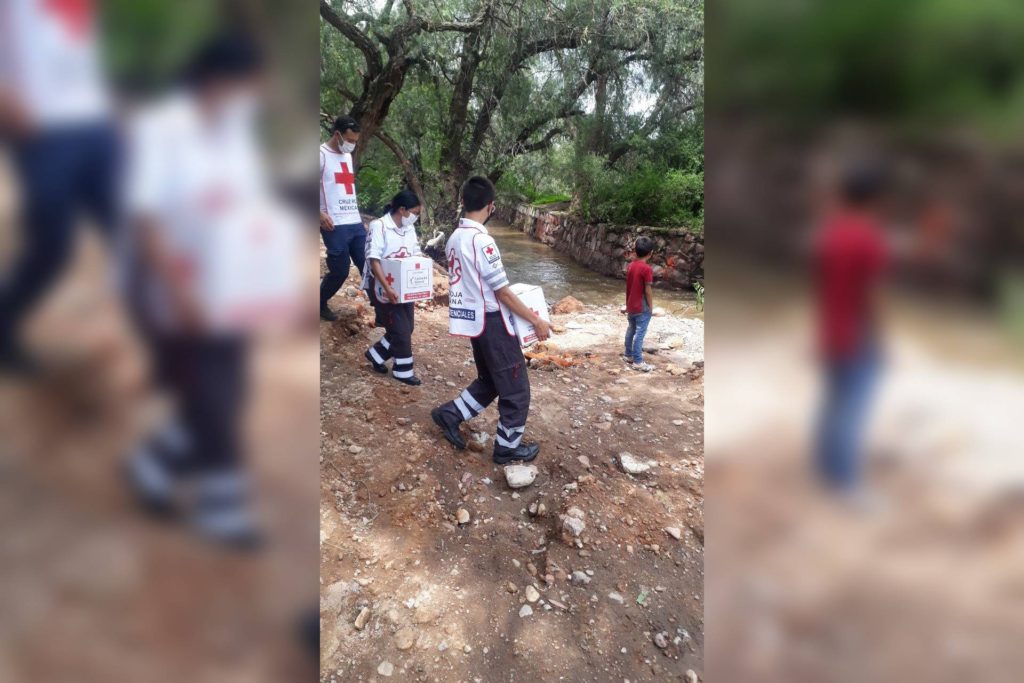 despensas habitantes El Cenizo