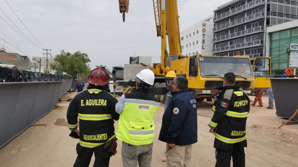 tragedia pulgas pandas