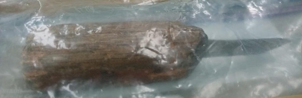 intentó matar a su hermano