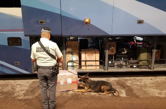 Guardia Nacional interceptó un cargamento de 8 kilos de marihuana en Aguascalientes