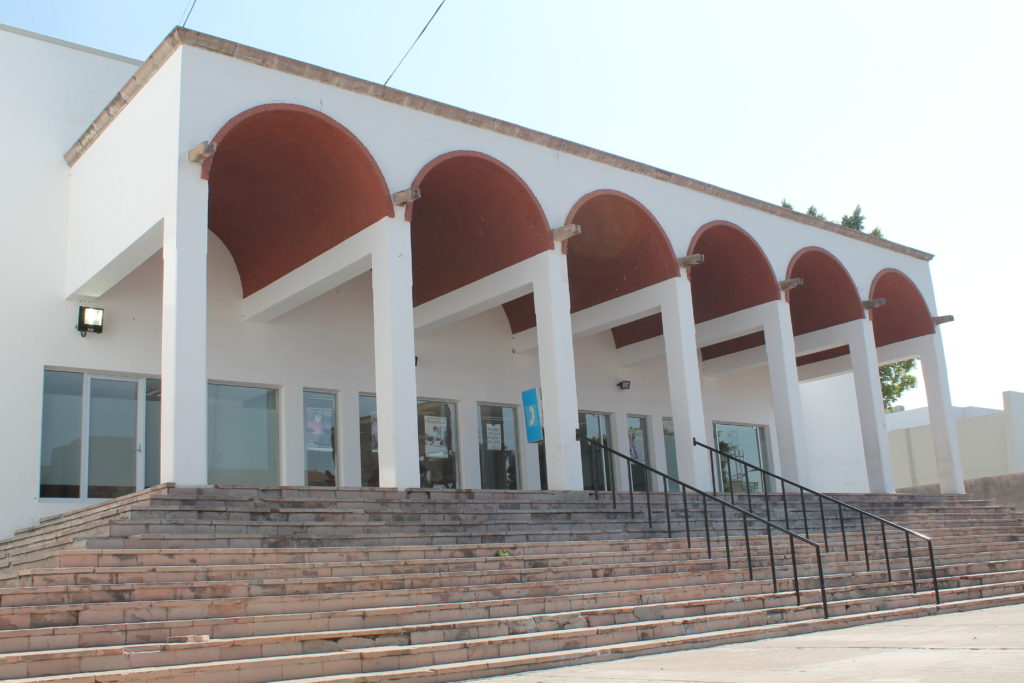 "narco-tiendita" Altavista