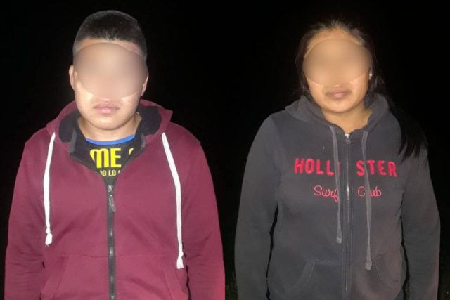 "pollero" detenido El Llano