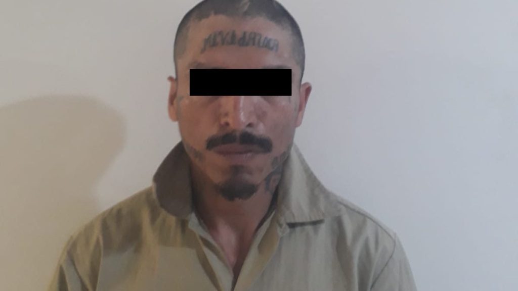 "hormiga" encobijado Miravalle