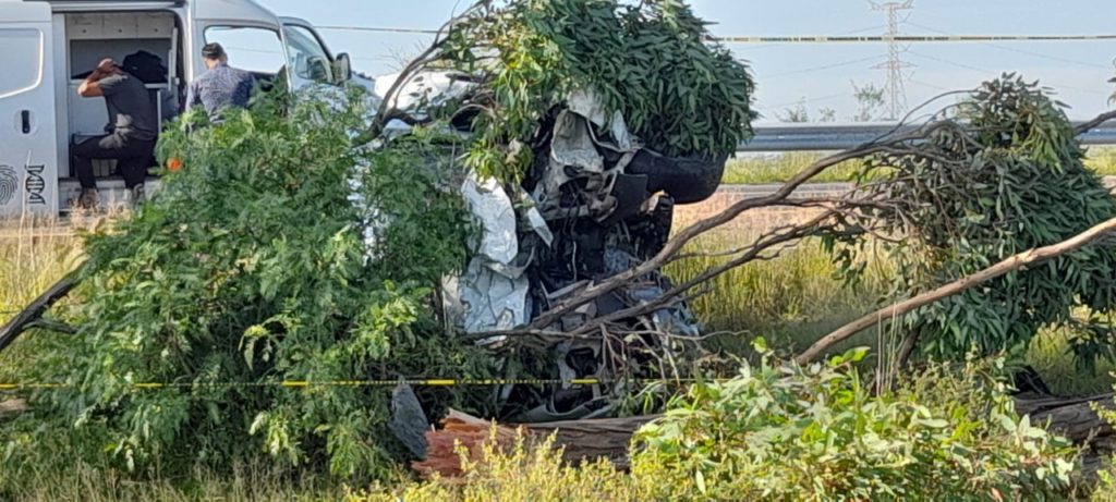 trabajadores de la secretaría de bienestar