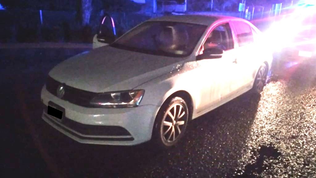 banda defraudadores detenida