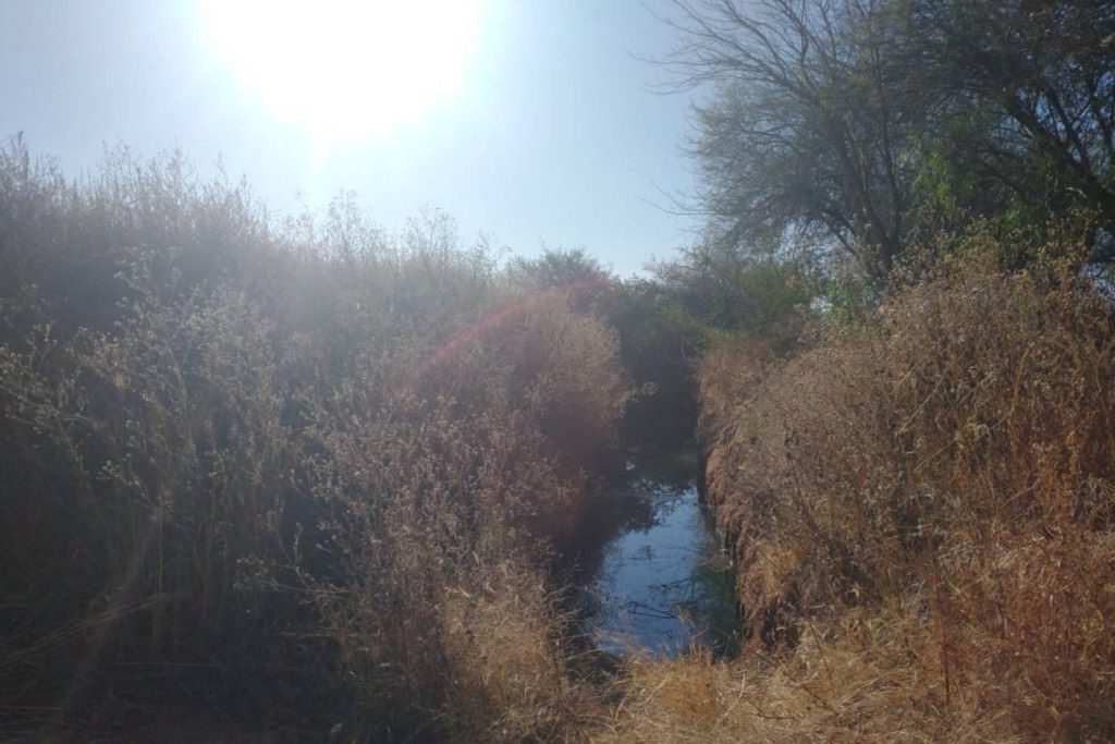 mujer cayó noria perdió vida