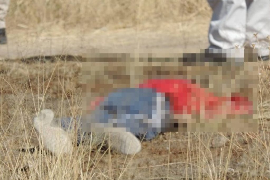 "Elgüero" Asientos ladrón Villa García