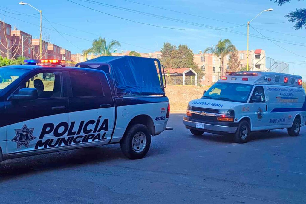Aguascalientes Baleado Postas