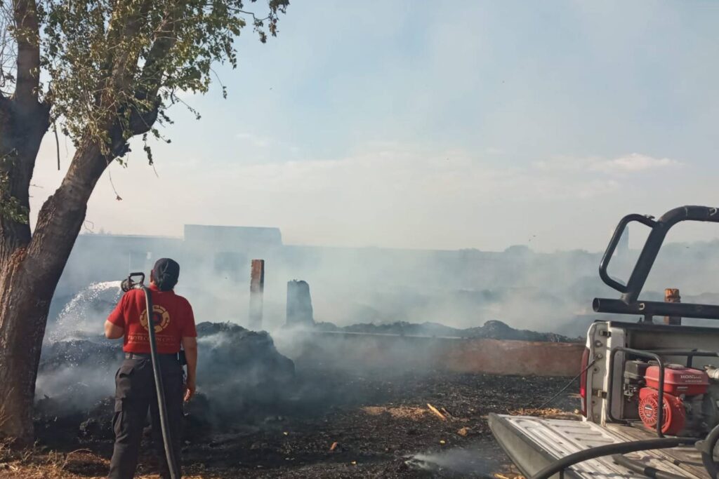 sofocar incendio forestal