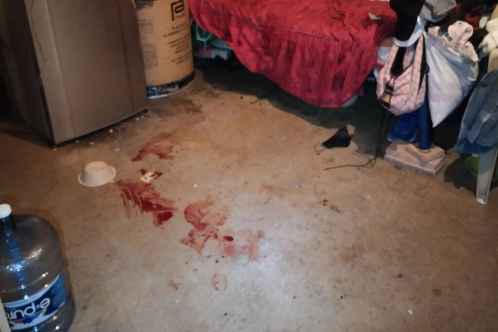 matan golpearla apuñalarla morderla