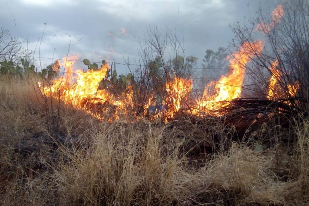 Incendio Cerro del Picacho