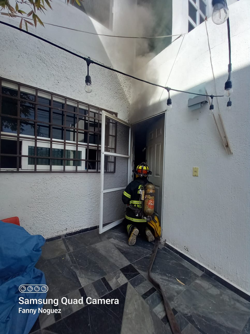 MUEREN DOS CANES TRAS VORAZ INCENDIO EN HACIENDAS