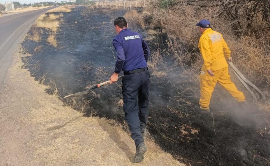 BOMBEROS MUNICPALES SE LA RIFAN