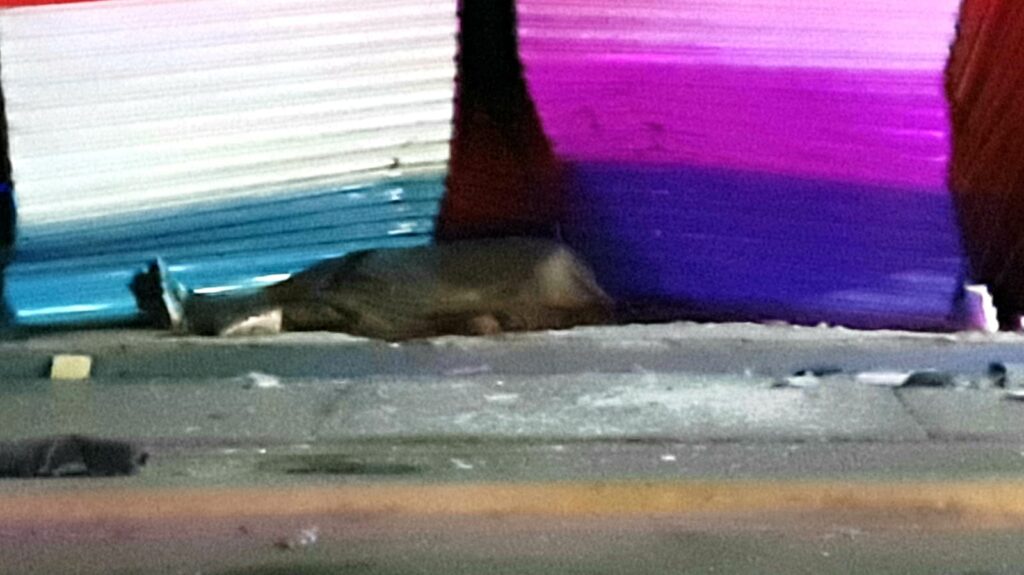 MUERE UN JOVEN TRAS IR A EXCESO DE VELOCIDAD, Y CHOCAR CONTRA UN LOCAL COMERCIAL