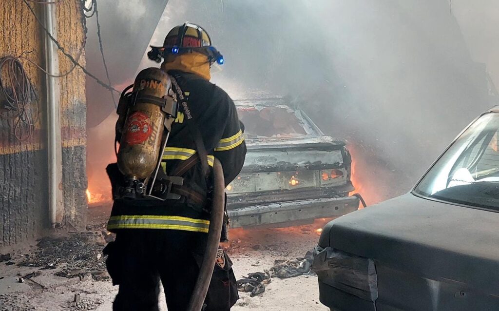 RESCATAN 4 CANES DE VORAZ INCENDIO EN LA CONSTITUCION